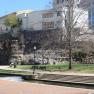 Prelude_in_C_by_J__Bach_UUCH_Huntsville_AL_March_29th_2025