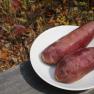 sweet potato - Ipomoea batatas